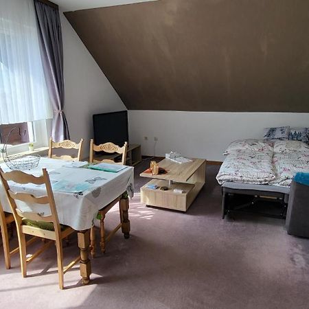 Ferienwohnung Haus Rehblick II, Wg 4 Sankt Andreasberg Exterior foto